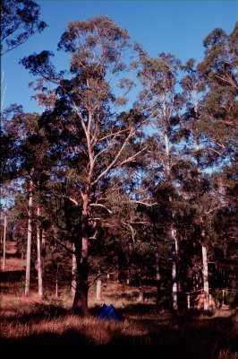 Group1_000250.jpg