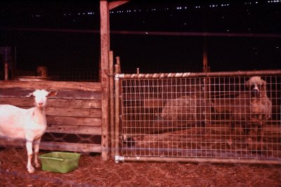 35mm_David_Group1_000255.jpg