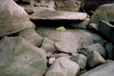 35mm_David_Group1_000277.jpg