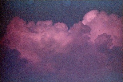 35mm_David_Group1_000299.jpg