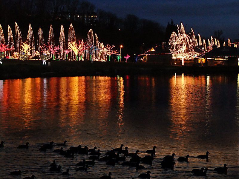 Christmas lights at Ivars on Lake Washington