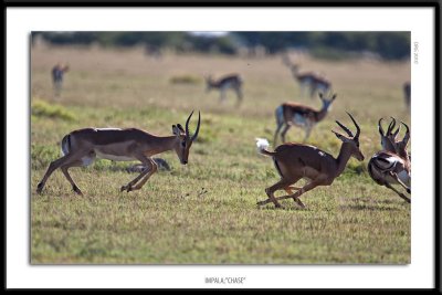 botswana_2010