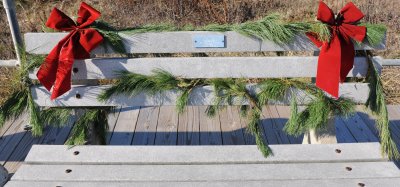 red ribbon on a bench 2.jpg