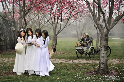 ao_dai_traditional_dress