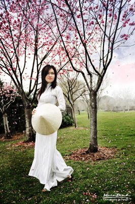 ao_dai_traditional_dress