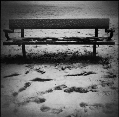 bench in winter