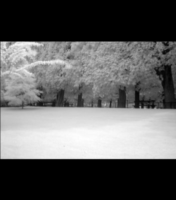 Jardin du Luxembourg #2