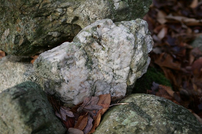 GV3B4459.jpg