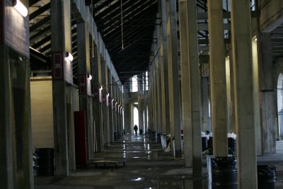 GV3B8036.jpg