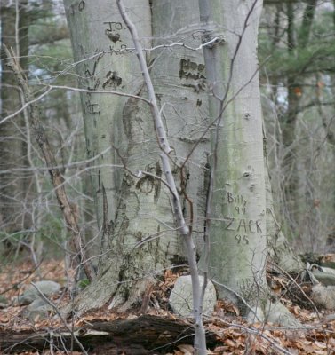 GV3B4431.jpg
