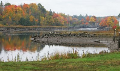 Oct. 07 Maine
