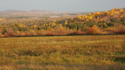 GV3B7016lake.jpg