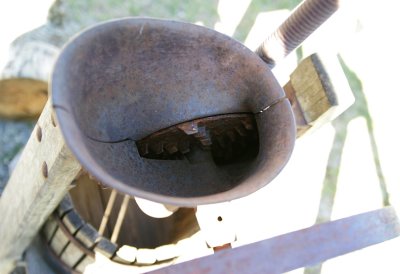 GV3B7139feeder.jpg