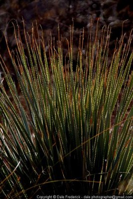 100206_143221.jpg