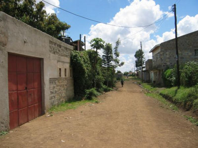 A road leading from the house