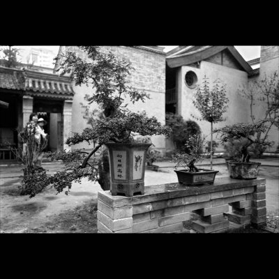 Tianshui House of Hu 13-02