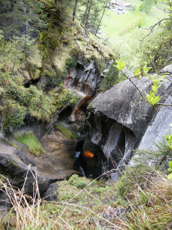 DSCN2436.JPG