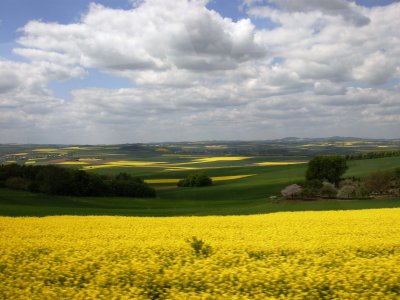 g3/72/22172/3/125149725.VCdBN9iE.jpg