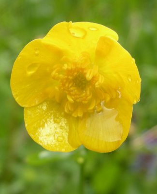 DSCN2451.JPG