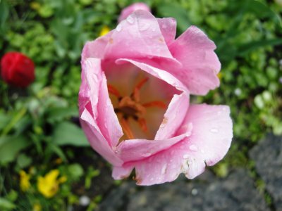 DSCN2455.JPG