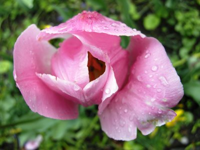 DSCN2456.JPG