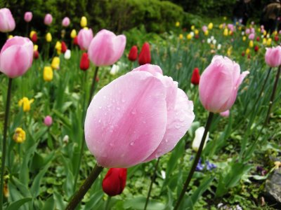 DSCN2457.JPG