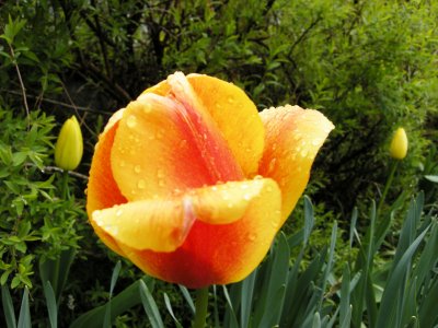 DSCN2458.JPG