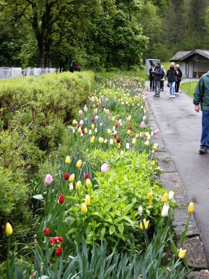 DSCN2459.JPG