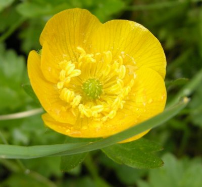 DSCN2565.JPG