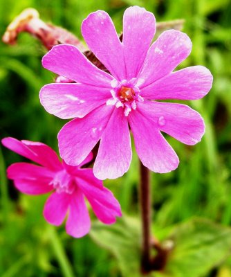 DSCN2576.JPG