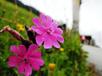 DSCN2577.JPG