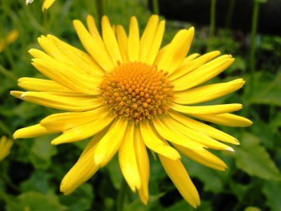 DSCN2581.JPG