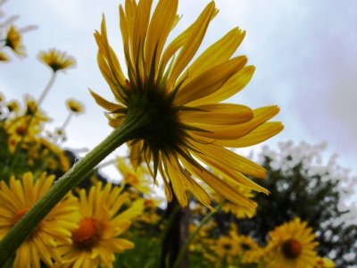DSCN2585.JPG