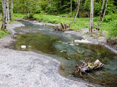 DSCN2600.JPG