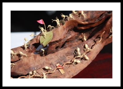 Moving ants