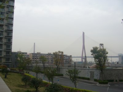 P1090855.JPG