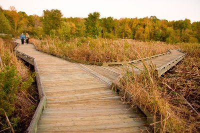 Huntley Meadows Wetlands Park and Wildlife Reserve (Virginia)