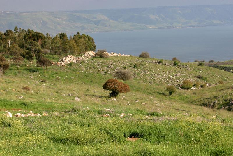 early spring in galilee.jpg