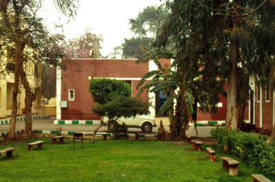 g3/72/394472/3/123136542.eL4w4vqA.jpg