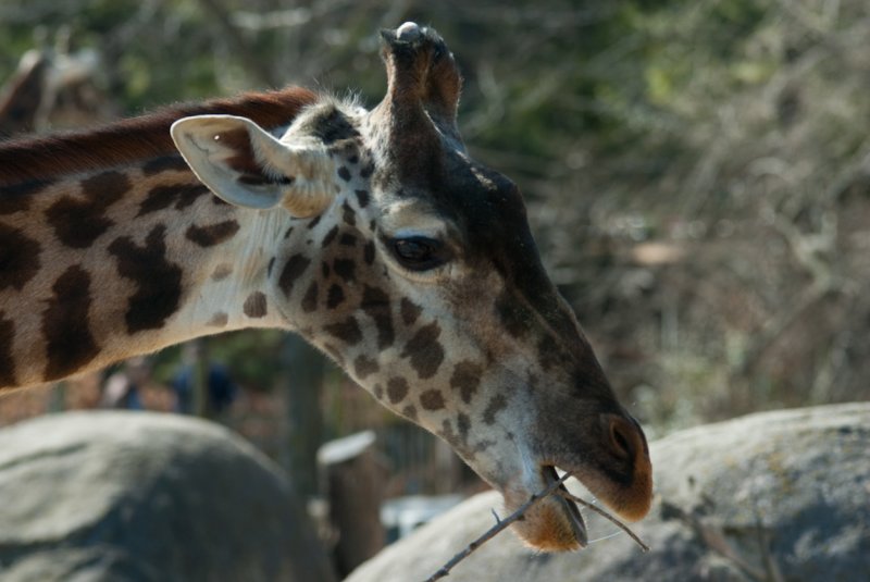 RWPZOO100307-18.jpg