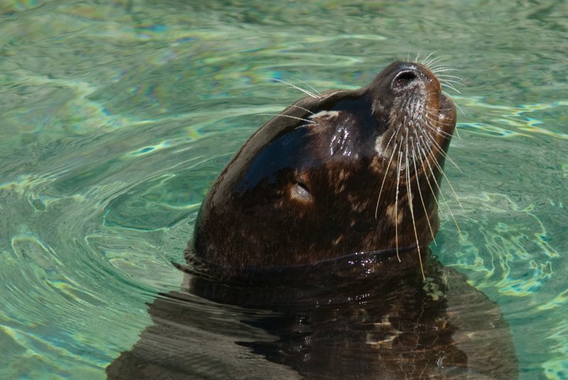 RWPZOO100307-30.jpg
