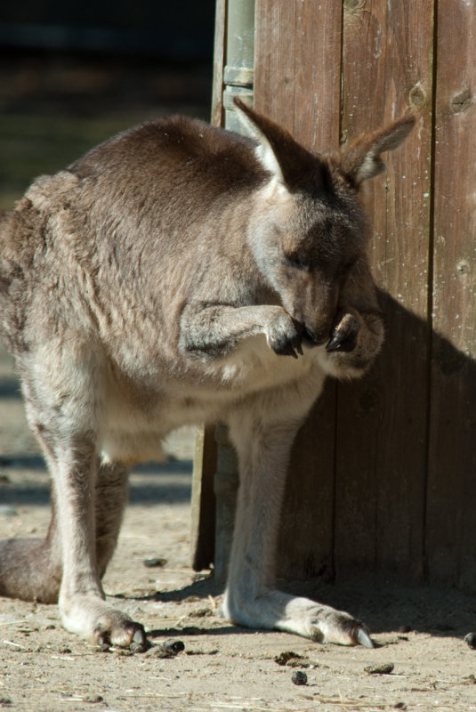 RWPZOO100307-41.jpg