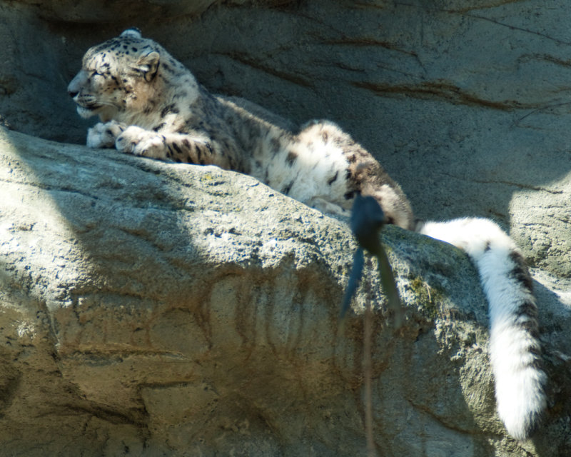 RWPZOO100307-72.jpg