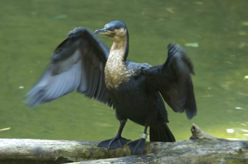 DSC_7755.jpg