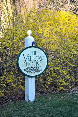 Gallery:  The Yellow House B&B Plus Critters Found in the Vicinity