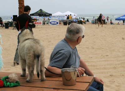 g3/72/459272/3/114101867.bGJT6EJq.jpg