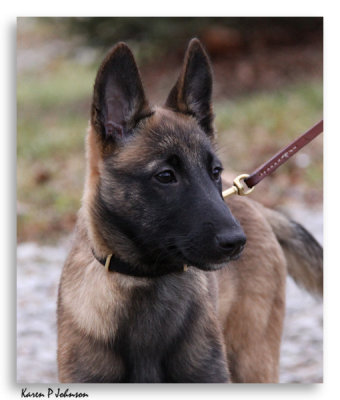 jolie_at_3_months