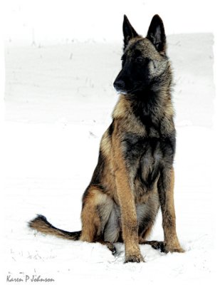 Jolie 5 mos