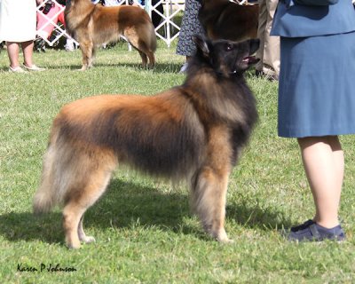 g3/72/459272/3/124330628.6N49JpeI.jpg