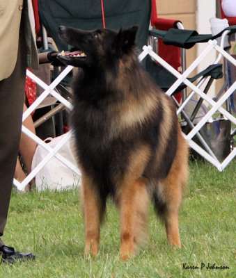 Zane Grey of Anduin6879w.jpg